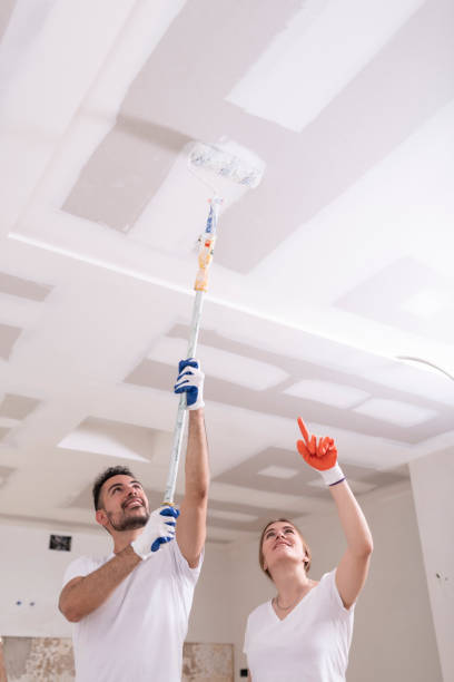 Rosedale, MD Mold Removal Company