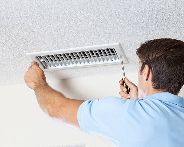 Best HVAC Mold Inspection and Cleaning  in Rosedale, MD