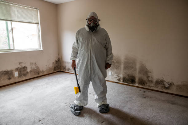 Best Industrial Mold Remediation  in Rosedale, MD